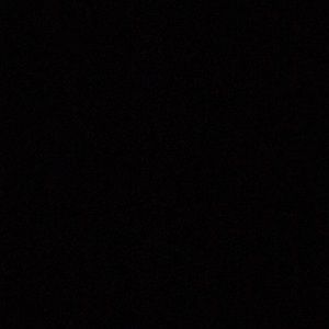 Meet your Posher, Isabel